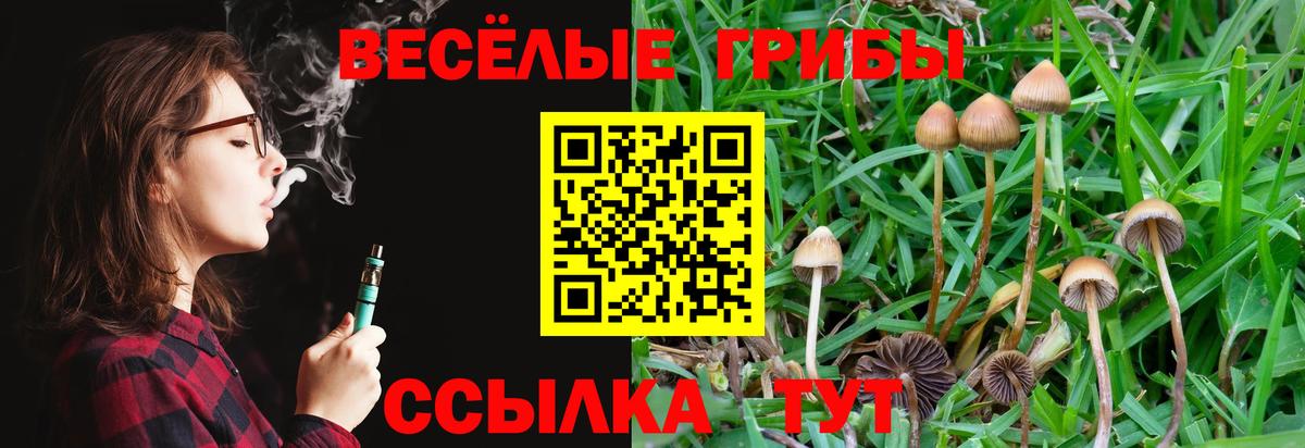 Галлюциногенные грибы ЛСД  Галлюциногенные грибы мухоморы  Вход с VPN  Новочебоксарск 
